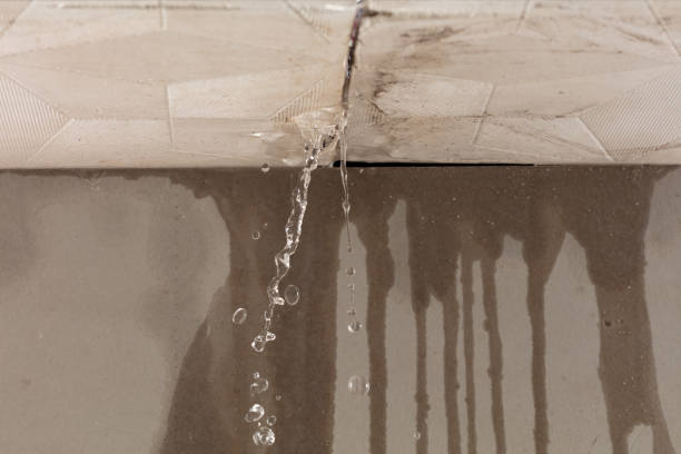 Professional Burst Pipe Cleanup technician working in Holderness, NH